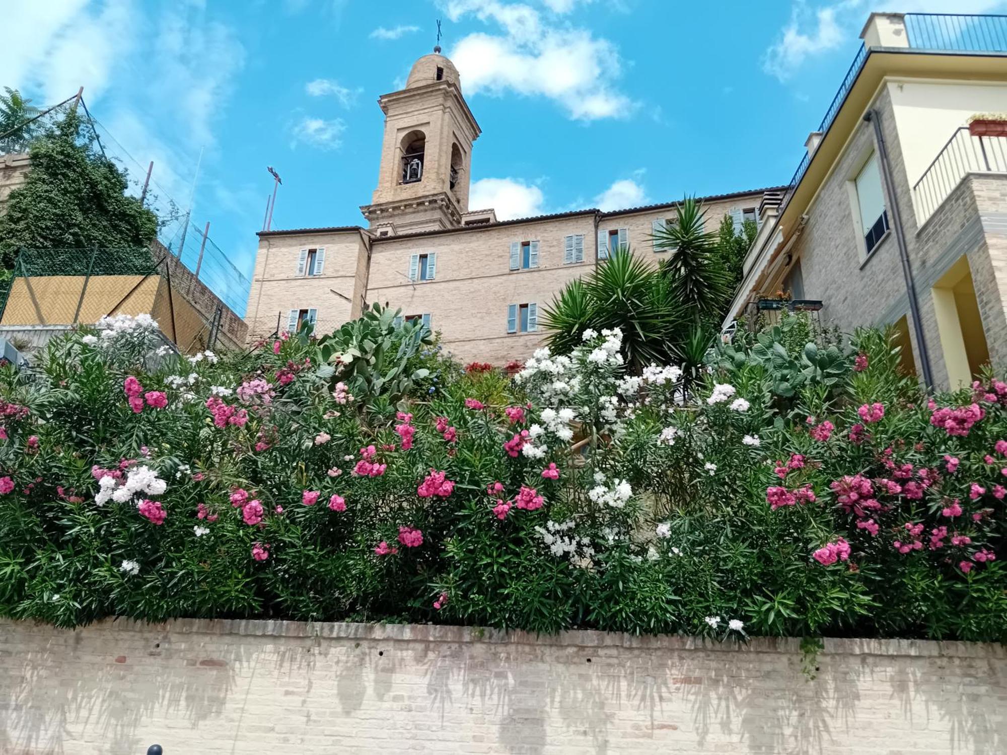B&B Il Girasole Corridonia Exteriér fotografie